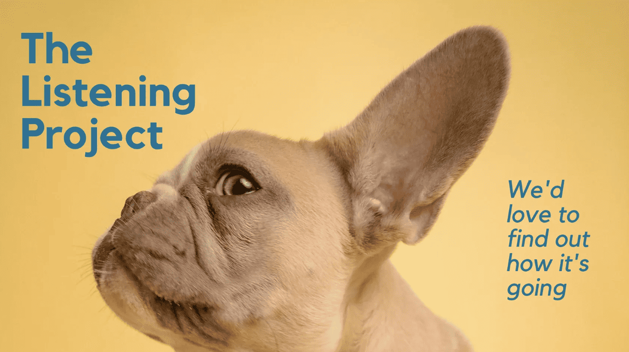 dog ear
