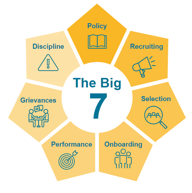 The Big 7 The Big 7