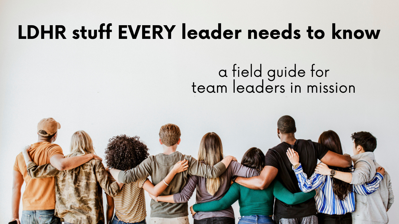 LDHR for leaders (blog)