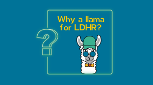Why a llama for ldhr