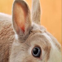emiliano-vittoriosi-PwXIsh7QpsI-unsplash emiliano-vittoriosi-PwXIsh7QpsI-unsplash